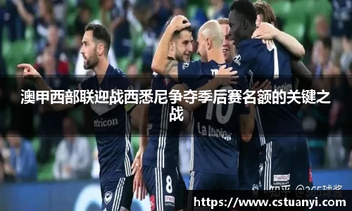 澳甲西部联迎战西悉尼争夺季后赛名额的关键之战